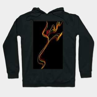 Fire-Rune F FEHU Hoodie